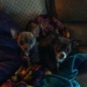 Meet your Posher, Barb